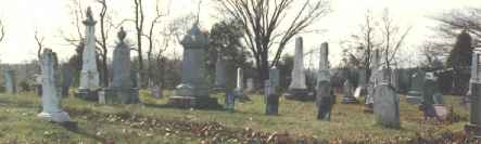 click to see a larger picture