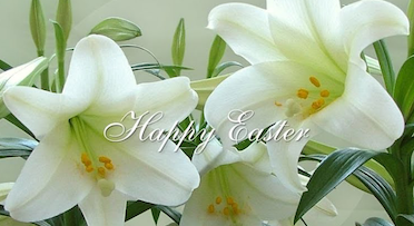 holiday greeting image